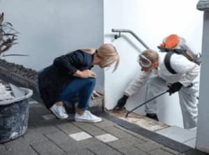 disinfestazione per formiche