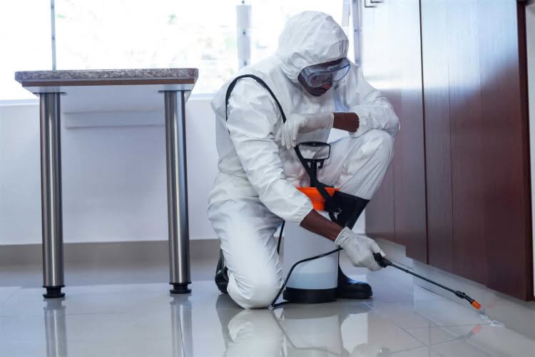 Imprese di Disinfestazione e Derattizzazione