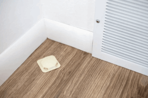 trappola formiche in casa